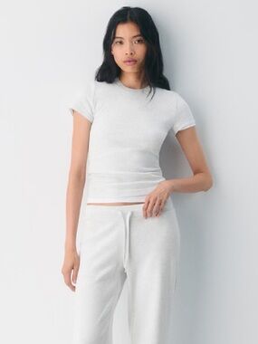 Aritzia Homestretch Tee in Heather Cloud White